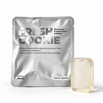 Deodorizer pouch and its pebble, plant scent