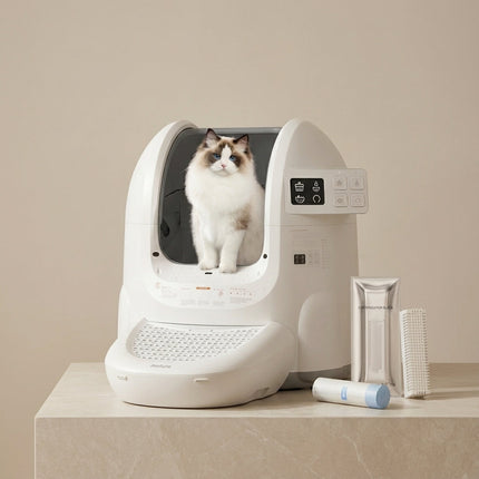 Litière Automatique Haute Sécurité - Photo principale