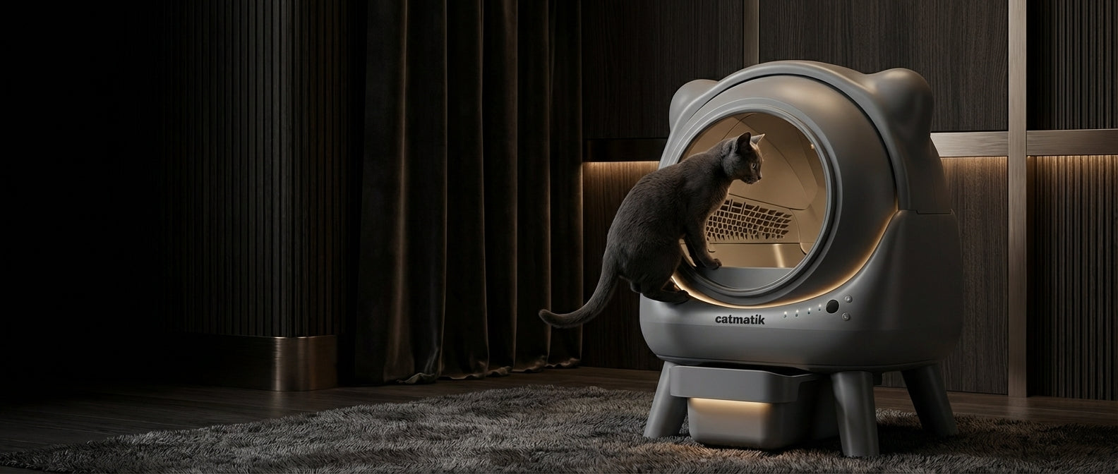 Litière Automatique Premium Silencieuse - Photo principale