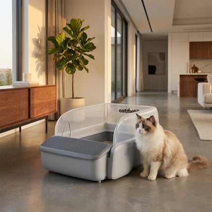 Litière Automatique Semi-Ouverte - Photo principale