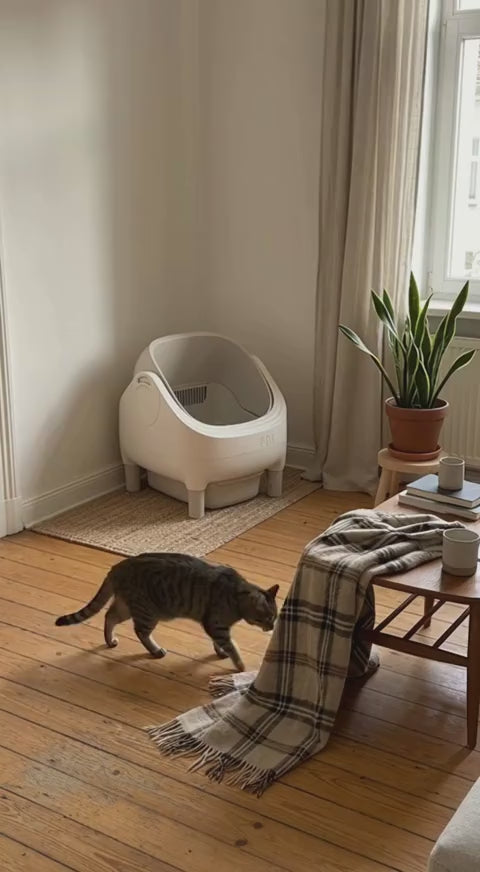Vidéo 3 : Litière Automatique Ouverte XXL en fonctionnement - CatMatik Slim